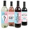 Big Dot of Happiness Baby Gender Reveal - Team Boy or Girl Party Decorations for Women and Men - Wine Bottle Label Stickers - Set of 4